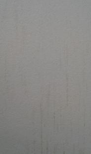 LUT 51145306 papier effet bois de bouleau (blanc grisé)
